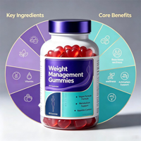 Gummies SYC BIO sans sucre pour la gestion du poids, 60 unités, avec mélatonine et L-théanine pour le soutien du sommeil, le bien-être quotidien et la relaxation