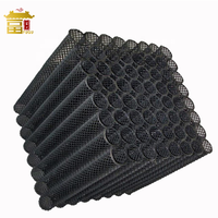 Ensemble de tubes filtrants en plastique, média de Bio-Filtration, média de Bio-bloc HDPE pour usine de traitement des eaux usées MBBR