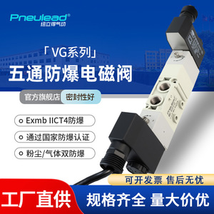 Válvula solenoide a prueba de explosiones de la serie Pneulead Vg, tipo diafragma de 1/4 pulgadas Ac220v para uso industrial - Product Image 3