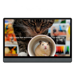 Le meilleur moniteur portable de l'usine professionnelle 17 pouces IPS 1920 1080 FHD 240Hz Interface de type C 40 broches - Product Image 6