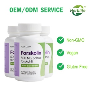 Capsules d'extrait de Forskolin biologique en gros d'usine, approvisionnement OEM, 60 unités, complément de Forskolin sans gluten, soutient la santé cardiaque - Product Image 3