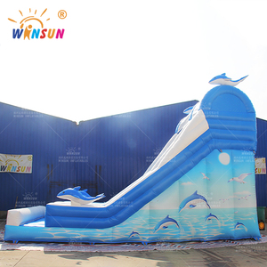 Winsun thương mại lớp cá heo trượt nước <span class=keywords><strong>Inflatable</strong></span> màu xanh cá heo trượt nước với hồ bơi để bán - Product Image 3