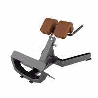 Machine commerciale de force de forme physique de chaise romaine hyper d'extension de dos de DFT-645