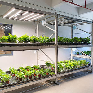 Sistema di coltivazione idroponica Mobile verticale Grow Rack verticale grow rack <span class=keywords><strong>contenitore</strong></span> idroponico panca Grow Rack - Product Image 6