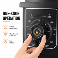 Autocuiseur Électrique Multifonctionnel Domestique OEM 6L 1000W avec Pot Intérieur Antiadhésif et Bouton Mécanique