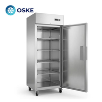 Congélateur vertical en acier inoxydable avec armoire isolée épaisse et système de congélation stable pour la restauration hôtelière, les banquets et la conservation des aliments