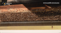Coupe-cire manuel en acier inoxydable pour apiculture, rouleau de décapsulage du miel