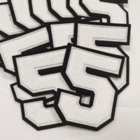Vente en gros de chenille cheer sequin appliques fer sur patch pour veste à capuche
