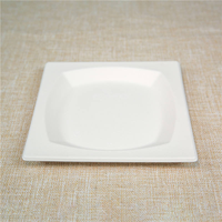 Assiette carrée jetable en bagasse de canne à sucre, biodégradable et compostable, pour la restauration et les événements.
