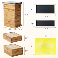 Super Beehive 10 marcos 8 marcos Bee Hive Boxes Equipo de apicultura de madera ecológico