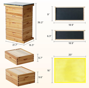 กล่องไม้เก็บผึ้งเป็นมิตรกับสิ่งแวดล้อมอุปกรณ์การเลี้ยงผึ้ง10เฟรม<span class=keywords><strong>8</strong></span>เฟรมอุปกรณ์การเลี้ยงผึ้ง - Product Image 4