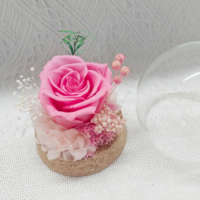 Miniature de rose naturelle conservée, mini-rose dans l'herbe, cadeau pour la fête des mères et des pères, prix d'usine