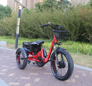 <span class=keywords><strong>Bicicleta</strong></span> Eléctrica <span class=keywords><strong>Gigante</strong></span> de 3 Ruedas CE, <span class=keywords><strong>Bicicleta</strong></span> de Ruedas Gruesas para Hombre, 24 Pulgadas - Product Image 5