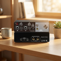 Interfaz de Audio USB Profesional Rayco MQ22 ASIO de 2 Canales, Preamplificador de Micrófono, Tarjeta de Sonido de Baja Latencia, Voz Ajustable para 2 Personas