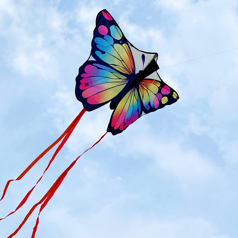 Butterfly Kite
