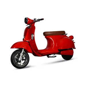 Scooter elettrico classico cee stile europeo 160km Super lungo raggio con motore 1500W