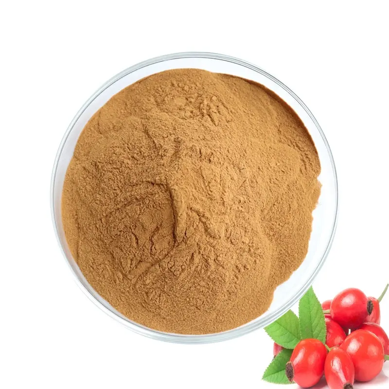 rose hip berry extract/rose hip -polyphenol/rose fruit extract powder