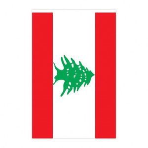 Outdoors Lebanon Flags <b>Small</b> Mini Pennant String Banner Festival Decorations 62.3 Feet 30 Flags Aluminum Flagpoles Polyester - Product Image 6