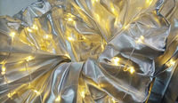 Performance Wear Costume d'ailes Led Costume Cape de danse du ventre pour accessoires de danse