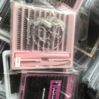 Extensions de cils auto-épanouissantes, éventail facile, éventail automatique, cils individuels de couleur, cils de camélia, vente en gros, marque privée