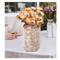 Sac de culture pour champignons en polypropylène Transparent, sacoche de culture avec plateau pour plantes et jardin à haute température