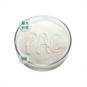 โพลีอะลูมิเนียมคลอไรด์ PAC แบบพ่นแห้ง 29 เปอร์เซ็นต์ <span class=keywords><strong>Al2O3</strong></span> ผงสีขาว สำหรับโรงงานผลิตน้ำดื่ม สารเคมีสำหรับจัดหาจำนวนมาก - Product Image 1