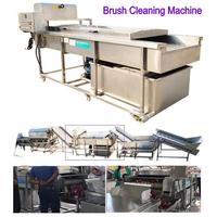 1 ~ 5T Automatische Verse Uiendroogsortering Sorteerlijn Industriële Sjalot Uien Wasmachine Reiniger Dunschiller Sorteermachine