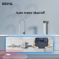 Détecteur de fuite d'eau sans fil/filaire LoRa avec vanne d'arrêt automatique, système d'alarme de détection de fuite d'eau et capteur de niveau d'eau
