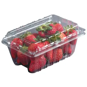 1LB透明一次性翻盖水果包装盒矩形泡罩包装盒食品安全塑料草莓葡萄容器