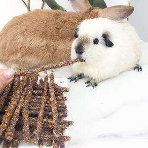 Masticare per coniglietti molari di coniglio Snack coniglio giocattoli da masticare coniglietti giocattoli da masticare per animali da compagnia tratta di ranca di mela criceto cibo legno Che - Product Image 6