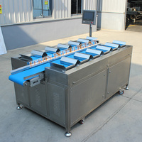 Automatisering 12 pallets fruit, vis en rundvlees multiplatform weegschaal elektronische weegschaal voor combinatie