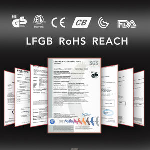 Entreprise de fabrication d'appareils ménagers Electrodomest Acier inoxydable Meilleures ventes 2025 <span class=keywords><strong>Max</strong></span> 800w Verre Pièces de rechange sans demande - Product Image 6
