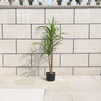 Planta Artificial de Dracaena Angustifolia Casi Natural, Ecológica, Perenne, para Halloween, Año Nuevo, Hoteles y Oficinas, Venta al Por Mayor