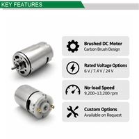 Moteur électrique micro-brossé DC haute vitesse 21V, petit modèle, fabricant OEM personnalisé, vente en gros SZPCDJ-PC-RK-755/750 pour usage automobile