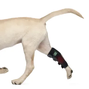 Nieuwe Huisdierentherapie Thuisgebruik Hond Rood Licht Infrarood Wrap Pijntherapie 660nm 850nm Mat Voor Hondenpoot