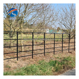 Bất động sản hàng rào Clip Irish England palisade công viên quốc gia lan can hàng rào Clip - Product Image 4