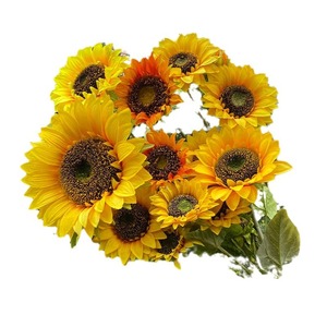 Flores Artificiales de Girasol Altas de Nuevo Estilo, 30cm-100cm, Flor de Seda para Decoración de Bodas - Product Image 1
