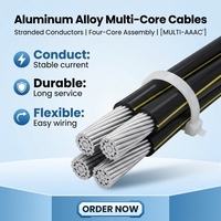 0,6/1KV Aluminium Einzel- oder 1-5-adriges 25mm 70mm 95mm² 185mm Luftbündelkabel ABC-Kabel Duplex-Service Oberirdische Stromversorgungsleitung