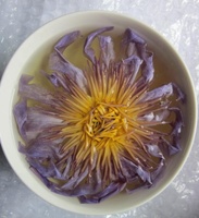 Bourgeons de lotus d'Égypte Hotsale véritable fleur de lotus bleu égyptien parfumé thé aux fleurs de lotus bleu