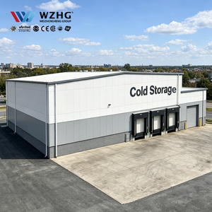 Almacén de Refrigeración Industrial, Ahorro de Energía, Estructura de Acero Q355b, Preferido por Constructores, 5000 m², Empresa de Logística - Product Image 1