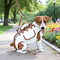 Sac à dos de transport pour animaux de compagnie à quatre pattes marron avec laisse, sangle d'épaule réglable, respirant, sac de voyage mains libres pour petits chiens et chats