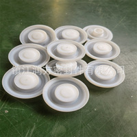 Plaque de pompe à membrane PTFE, F4,