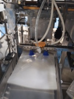 Machine d'emballage pour sachets préformés Doypack pour aliments granulés, haricots, graines, chips de pommes de terre, pop-corn, collations, fruits secs
