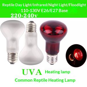 Lampe chauffante pour reptiles, ampoules UVA pour bain de soleil, lumière naturelle du jour, lampes chauffantes pour terrarium, accessoires pour dragon barbu, douille E27 - Product Image 1
