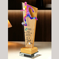 Trophée de sport personnalisé en acrylique cristal, gravé au laser, durable, modèle créatif pour compétitions sportives (basketball, football)
