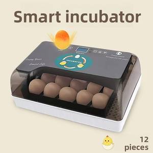 Incubadora de Huevos WONEGG, la Mejor para Incubar Pollitos de Engorde, para Uso Doméstico en Bélgica, en Venta - Product Image 2