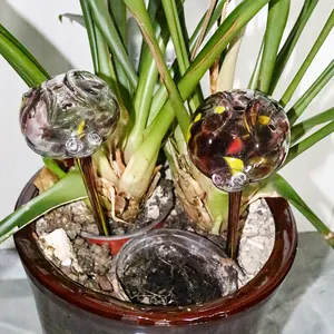 MEIZHILI2023新しいファッションテントウムシのデザインガラス植物じょうろ球根スパイク自己じょうろグローブガーデン水ドリップボール鉢植え用