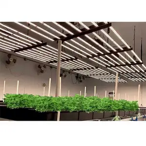 Risen Green Stock Spain 880W Full Spectrum Best Commercial Led Grow Light For Vertical Farming Warehouse Tent