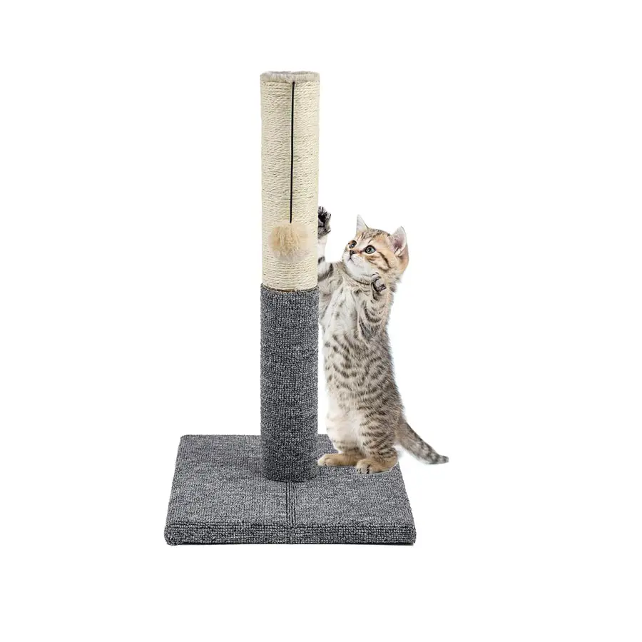 Cat Climbing Frame Pet Cat gring Pole Cat Grinding Claw Pet Toy piccola torre pieghevole per alberi