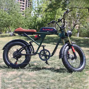 Yetişkinler elektrikli bisiklet 48V 500W dağ bisikleti şehir yağ lastikler moped